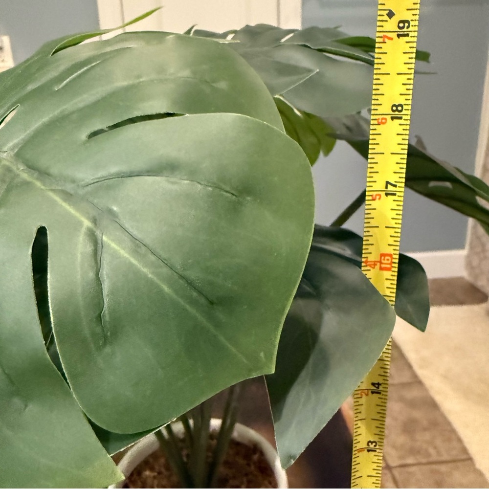 🪴 Faux Monstera Plant - Picture 11 of 12